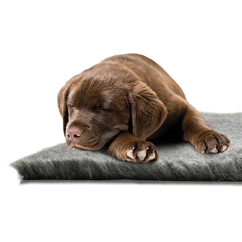 Hundeseng - Dry bed, grå 60x45cm