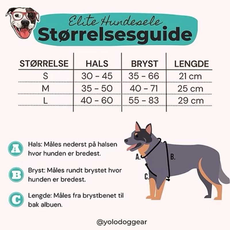 ELITE HUNDESELE - ROSA TARTAN