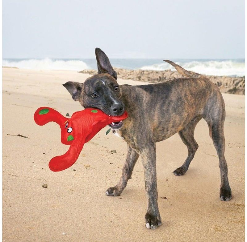 KONG - Belly Flops Lobster M 9 X 21 X 28cm