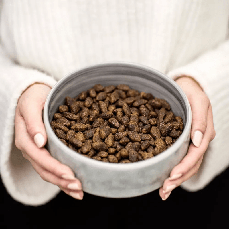 BUDDY WILD VENISON 2 KG