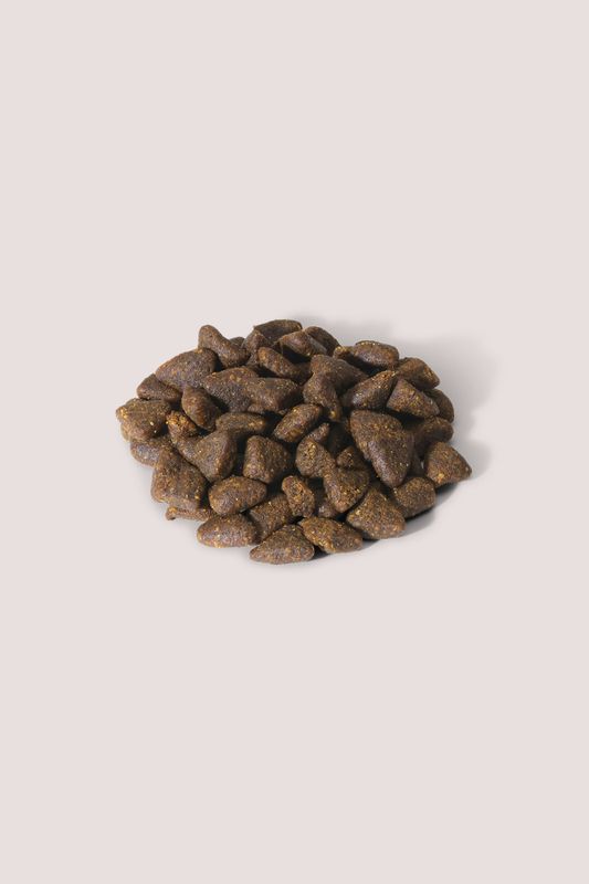SIGNATURE ABSOLUTE TRAINING DUCK - 150 gr